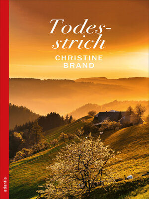 cover image of Todesstrich